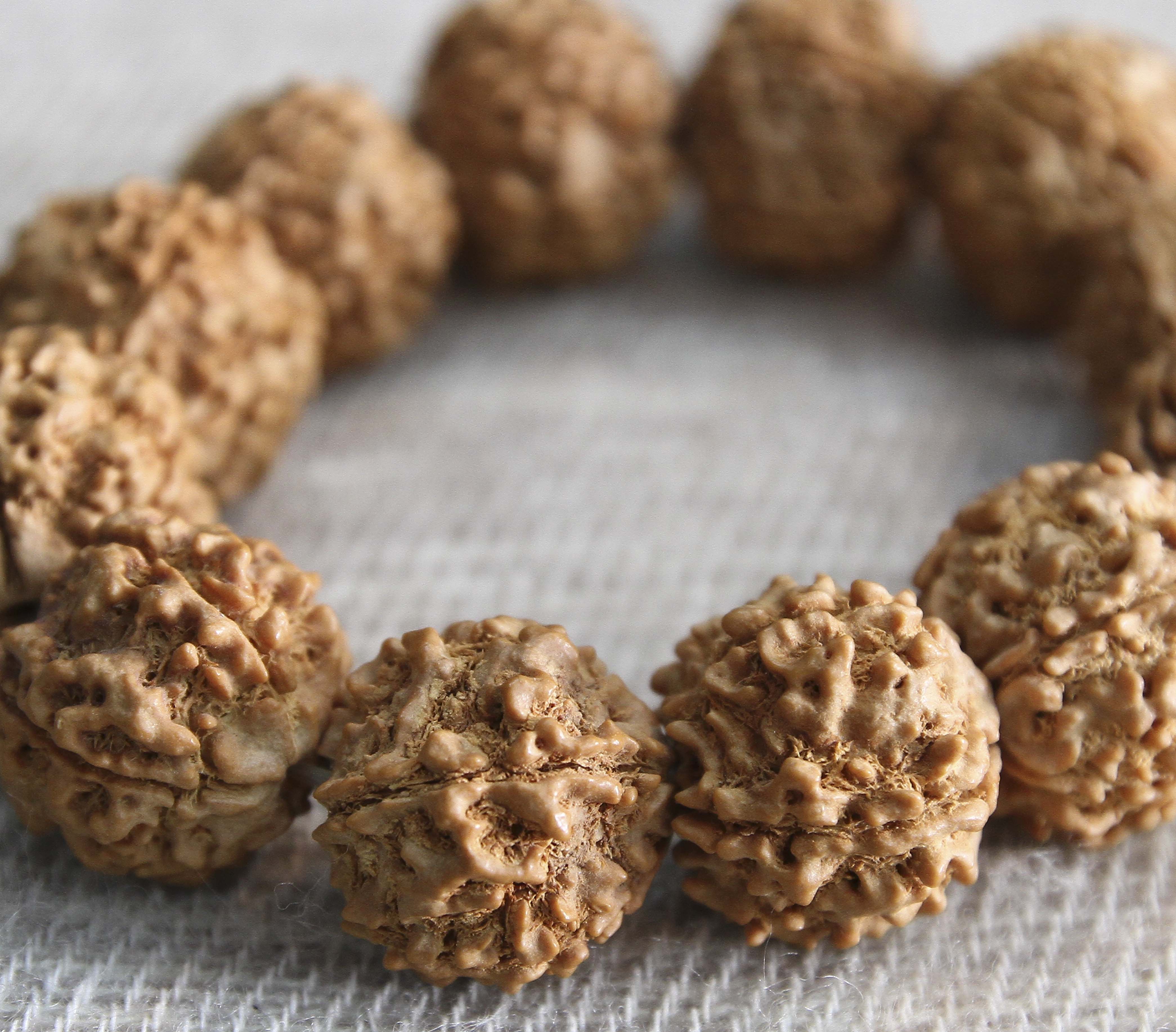 Traditional Giant Rudraksha Bracelet